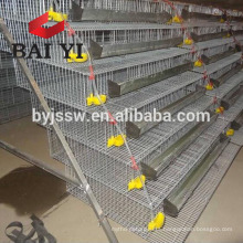 Large Scale Wire Mesh Layer Quail Cages For Sale
